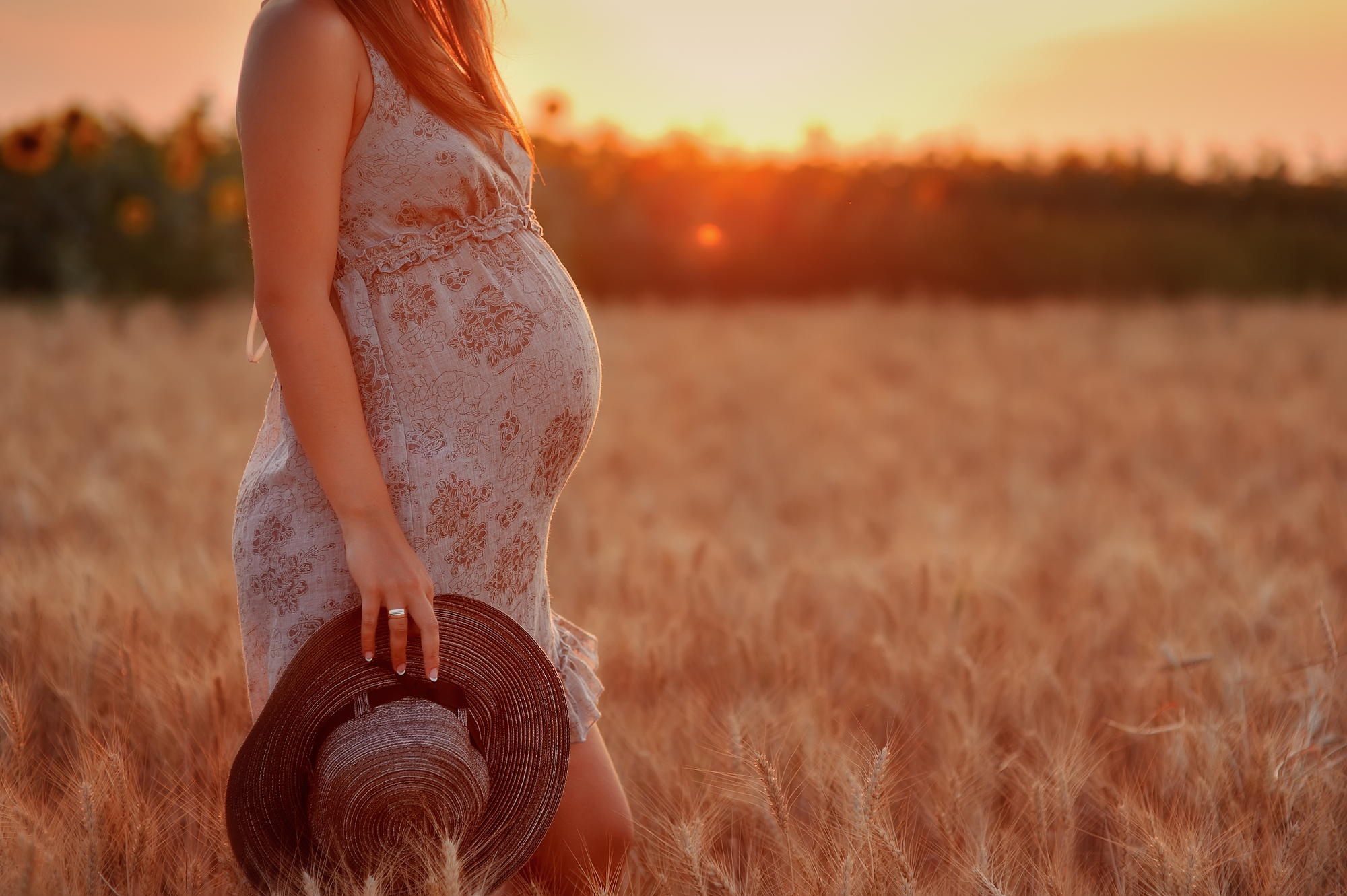 The pregnant girl with a hat in the field of wheat on a sunset. Concept image for percoset and pregnancy.