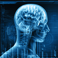 How Does Alcohol Affect the Nervous System?