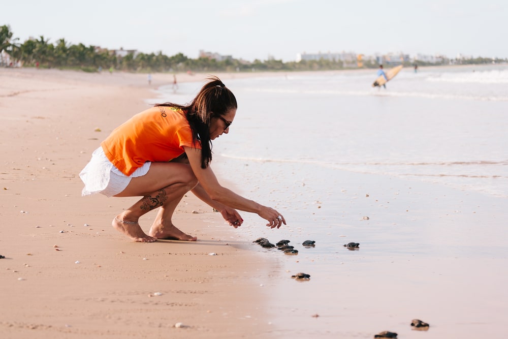 Conservationist tending to an injured sea turtle, emphasizing care and rehabilitation-min