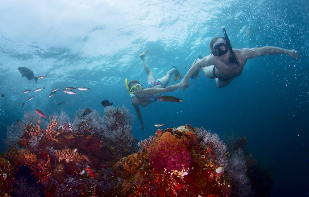 Diver exploring vibrant coral reefs, surrounded by colorful marine life-min