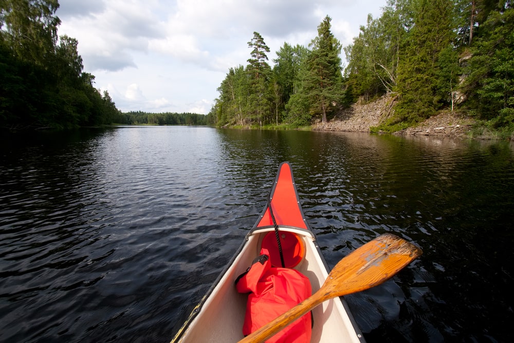 Participant navigating a serene waterway in a kayak, with lush greenery in the background-min
