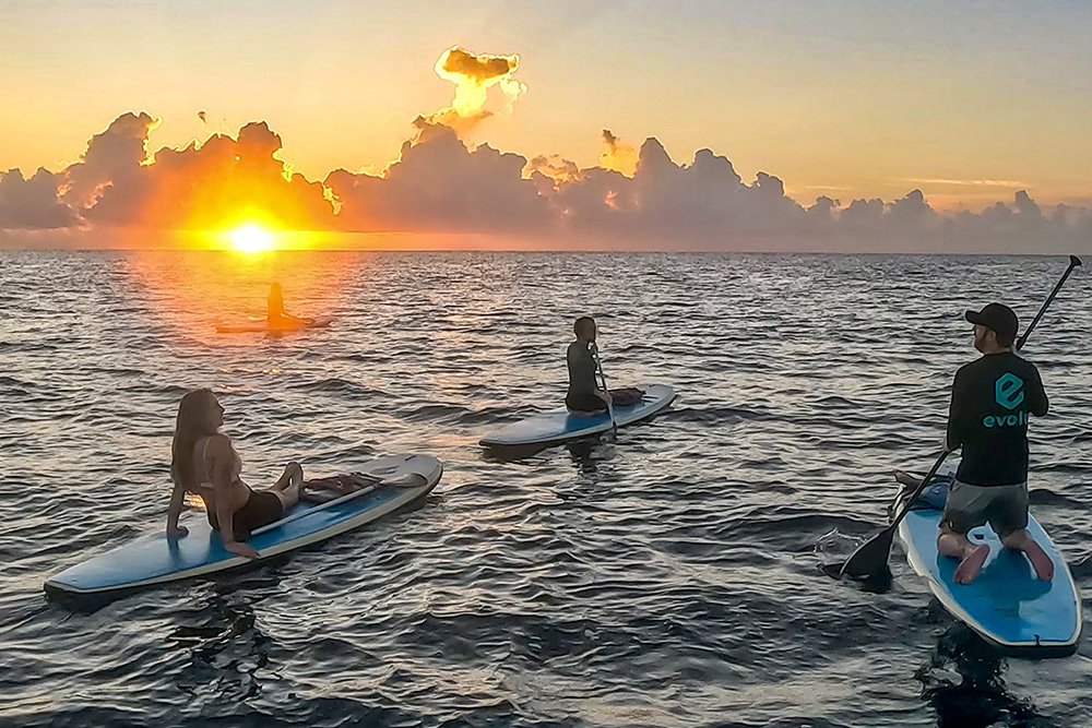 Individual gracefully paddle boarding on calm waters, surrounded by nature